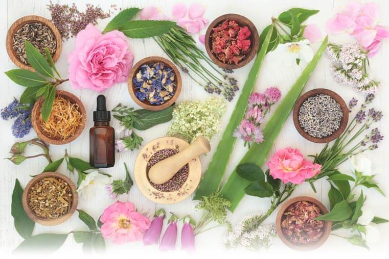 herbs, flowers, and mixing bowls